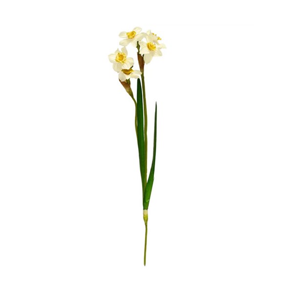 گل نرگس طبیعی 1 شاخه