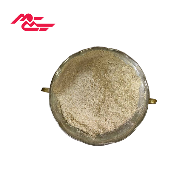 پودر جوانه گندم دکتر بلندنظر 500 گرمی