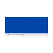 NCS S 3065-R90B