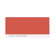 NCS S 2060-Y90R