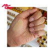 پنکک اصلی شرکتی کنسی حاوی روغن آرگان و آلوئه ورا شماره 4
