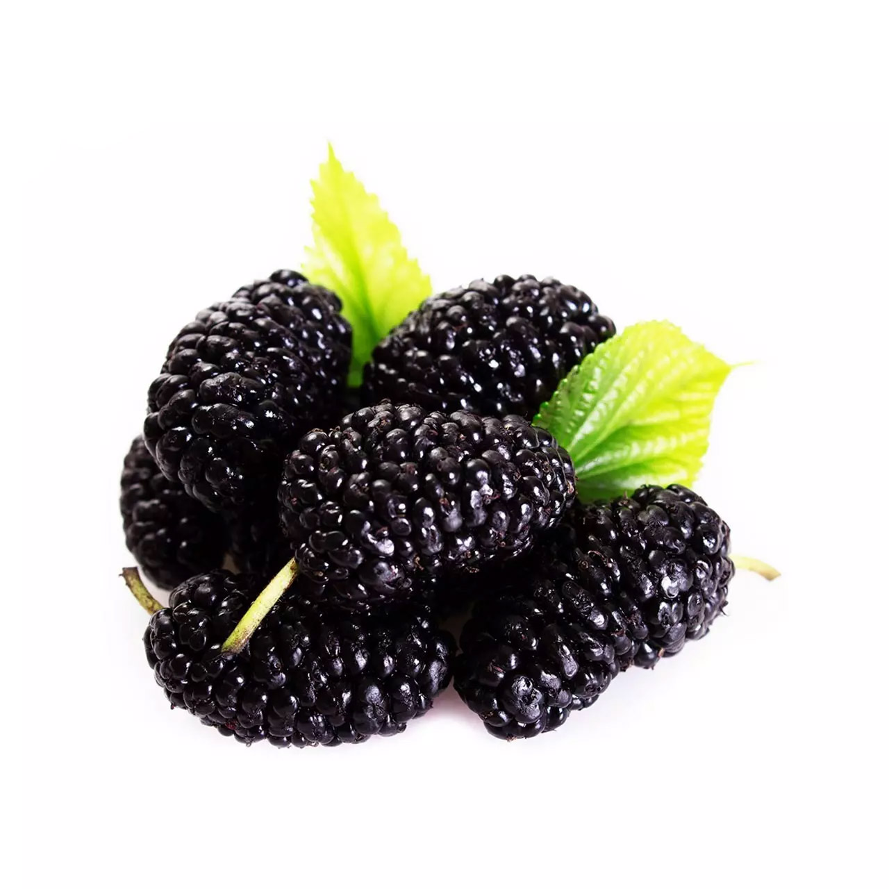 شاتوت درجه یک 500 گرمی