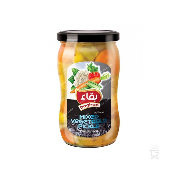 ترشی مخلوط سالسا بقاء 580 گرمی