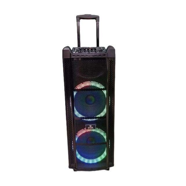 اسپیکر بلوتوثی قابل حمل اور الکتریک مدل EVER-1026