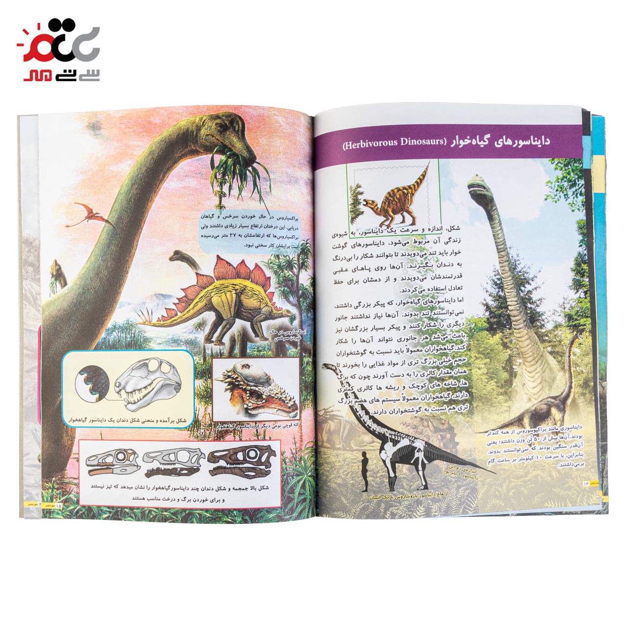 کتاب کودکان دنیای دایناسور ها کد 798