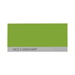 NCS S 0560-G40Y