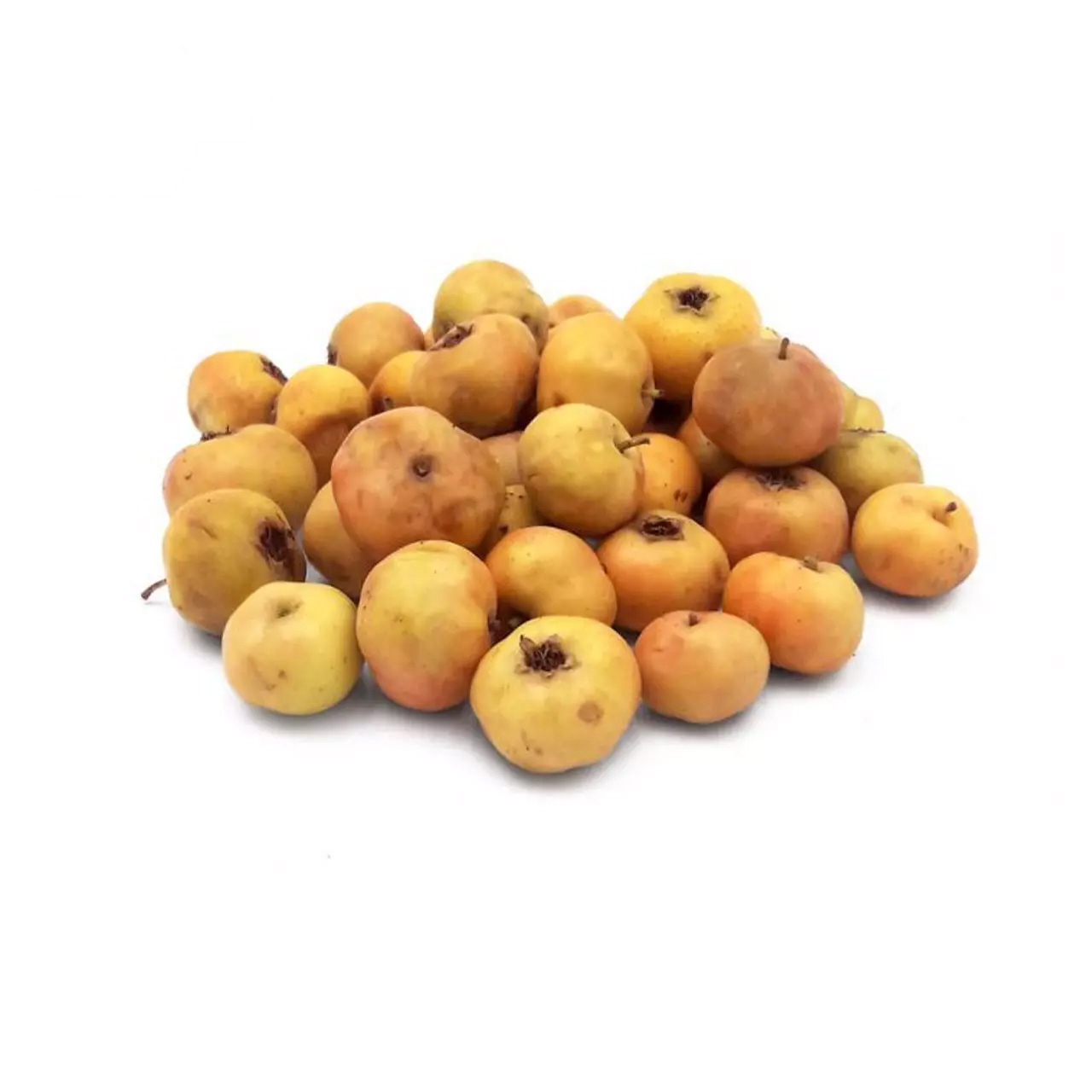 زالزالک درجه یک - 300 گرمی