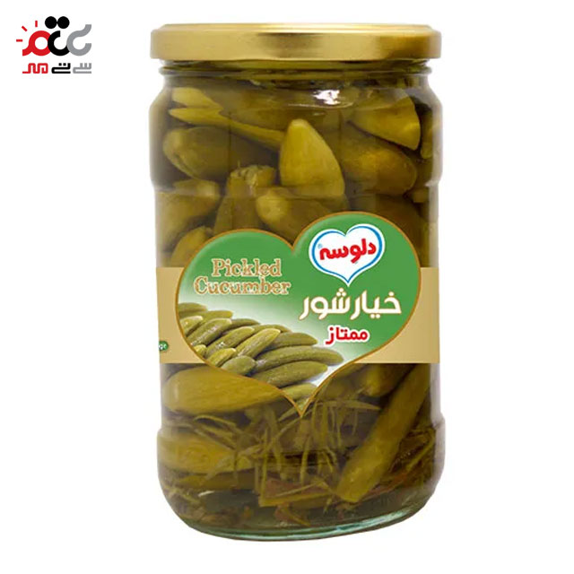 خیارشور ممتاز دلوسه 750 گرمی