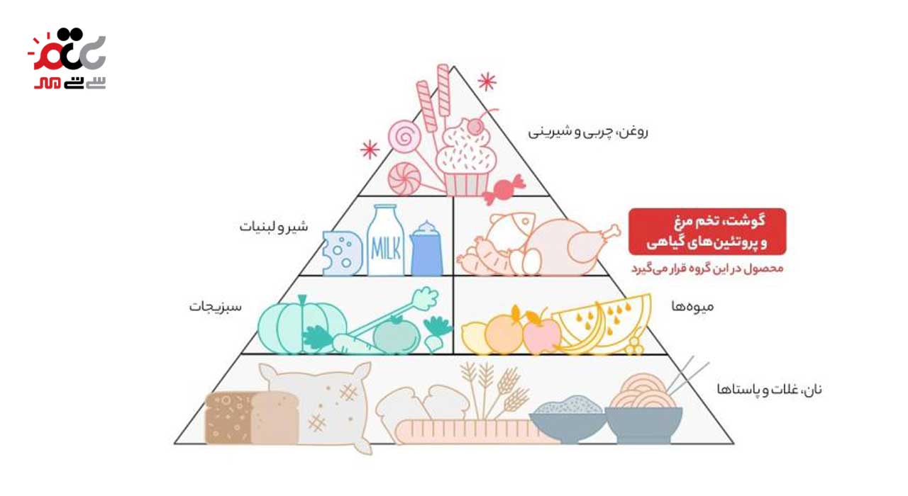 شنیتسل مرغ 202 مقدار 500 گرمی