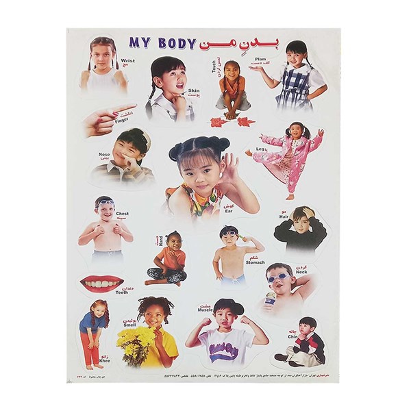 برچسب کودک آموزشی طرح بدن من سایز A4 کد 632
