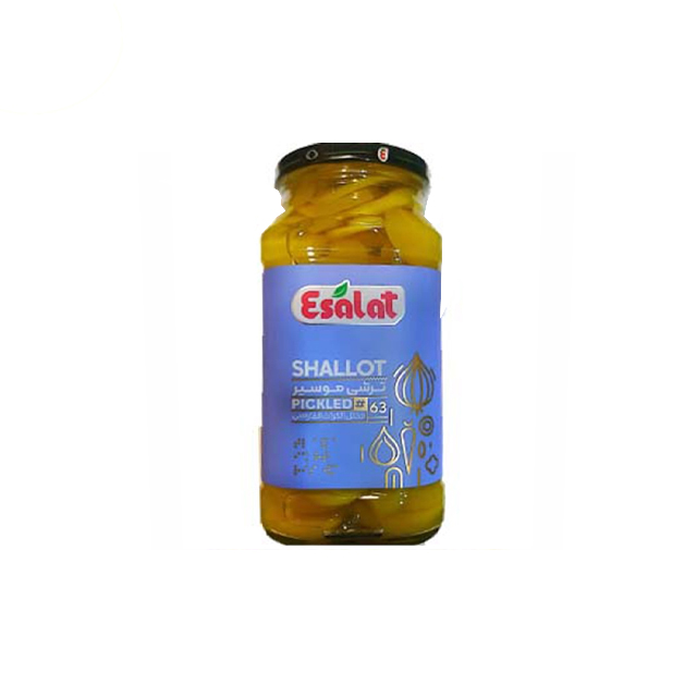 خرید ترشی موسیر اصالت 580 گرمی