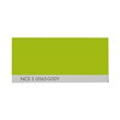 NCS S 0565-G50Y
