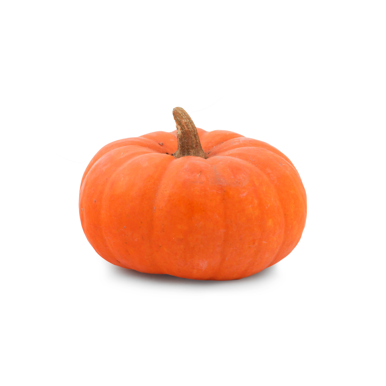 کدو تنبل درجه یک 3000 گرمی