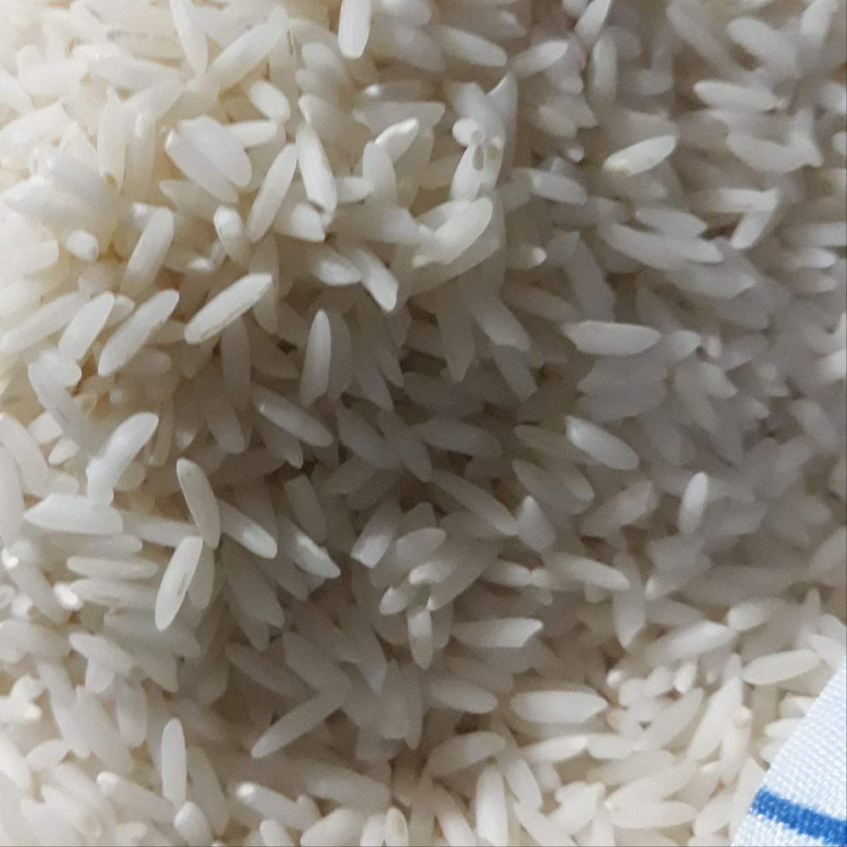 برنج کشت دو فضیلت فریدونکنار فله 1000 گرمی