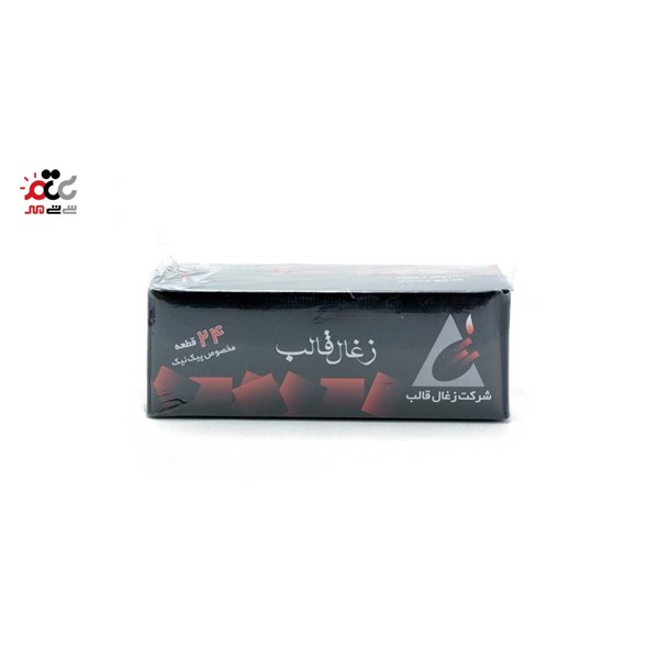 زغال قالب مخصوص پیک نیک  24 قطعه کد2009