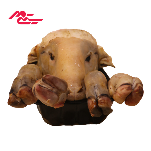 کله پاچه تازه گوسفندی بره نر ممتاز آماده پخت