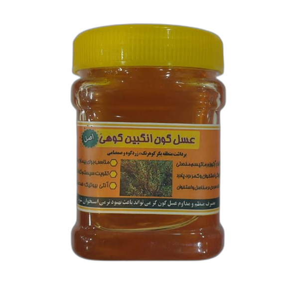 عسل گزانگبین 500 گرمی