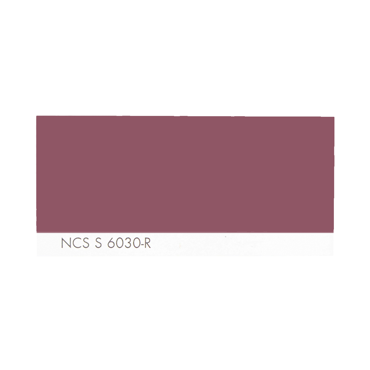 NCS S 6030-R