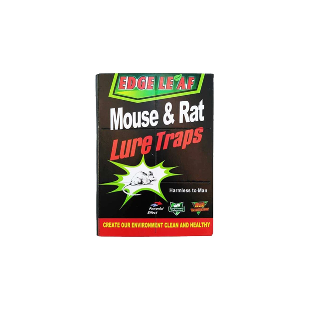 چسب موش کتابی حجم 70 میلی لیتری کیان