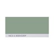 NCS S 3020-G30Y
