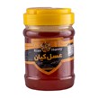 عسل چهل گیاه کیان کوه 500 گرمی