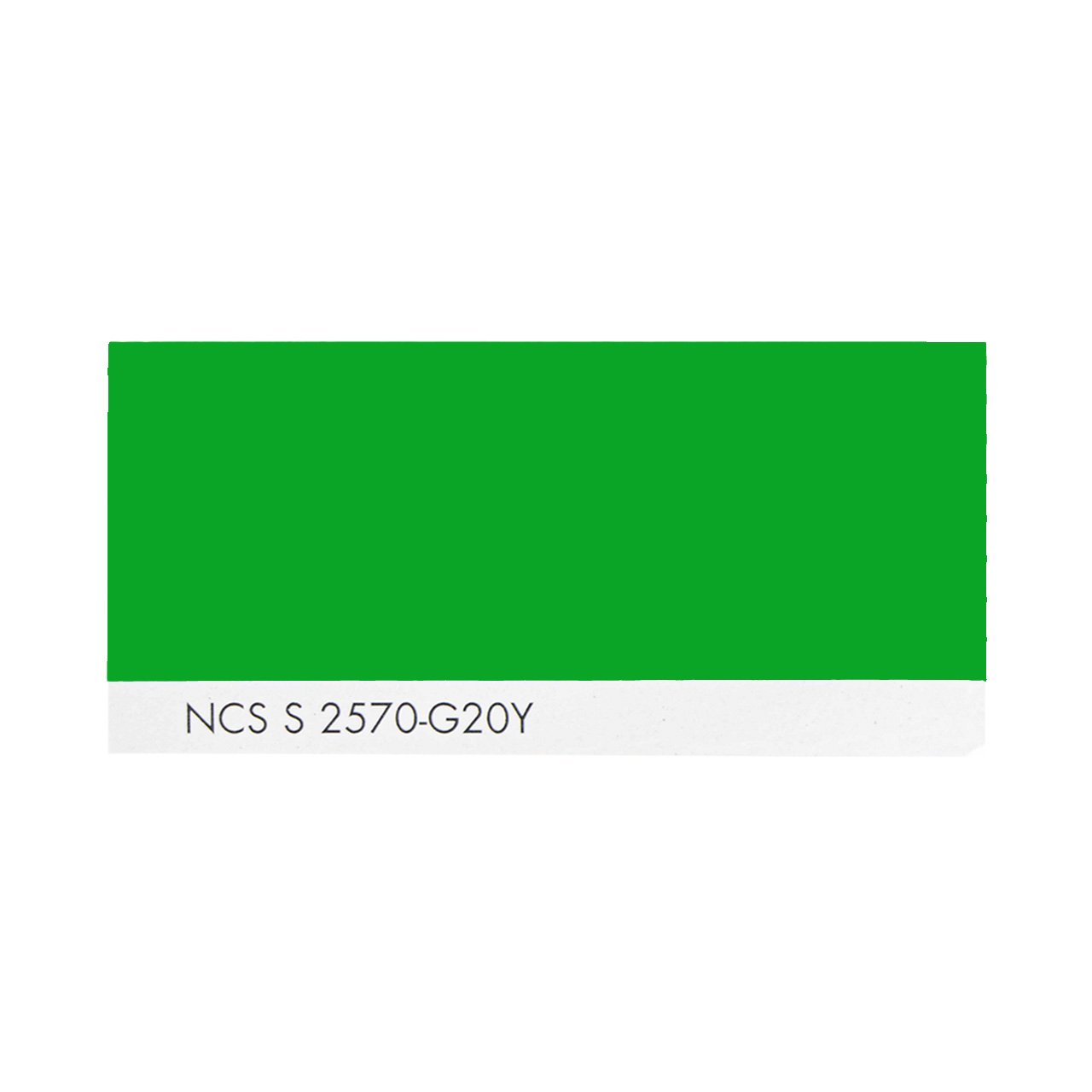 NCS S 2570-G20Y