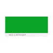 NCS S 2570-G20Y