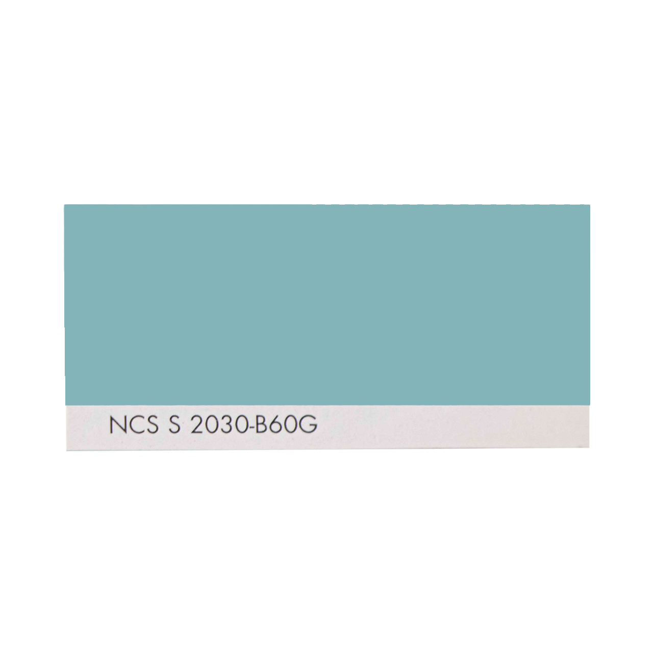 NCS S 2030-B60G