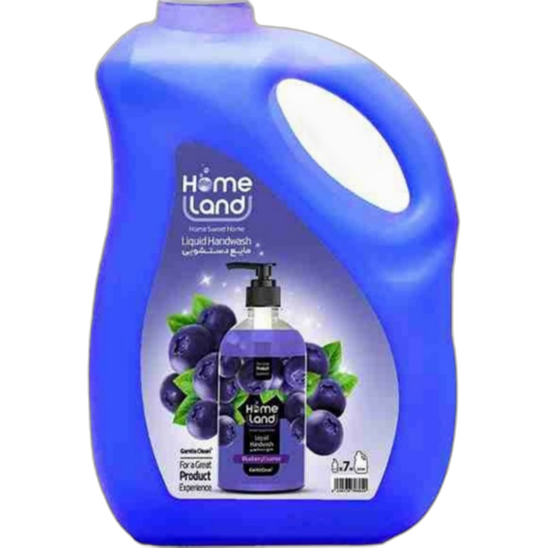 مایع دستشویی با رایحه بلوبری