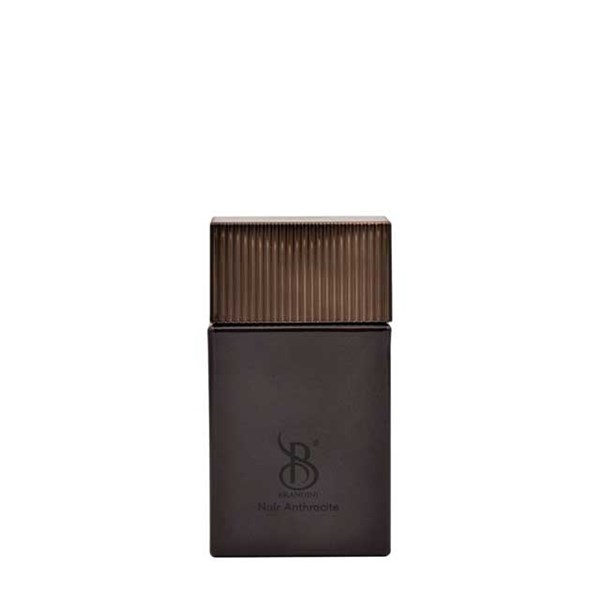 ادکلن مردانه برندینی مدل Noir Anthracite حجم 25 میلی لیتری