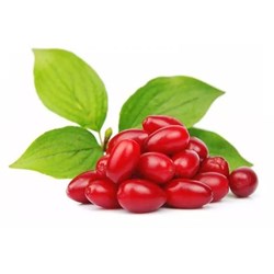 زغال اخته ممتاز - 500 گرمی