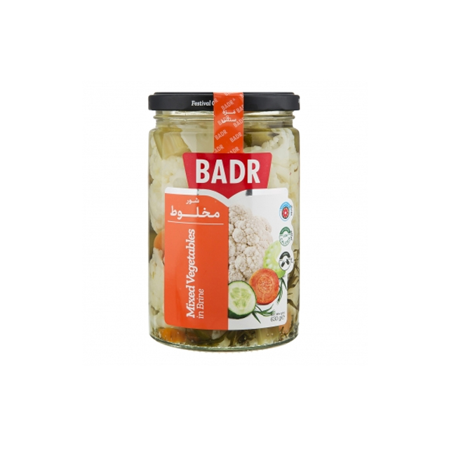 خرید شور مخلوط بدر 630 گرمی