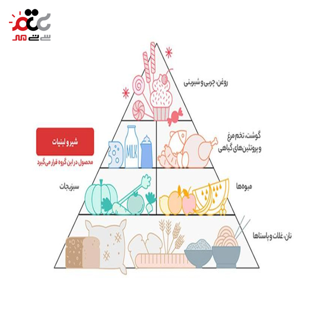 پنیر سفید پنج ستاره  آمل کاله 120 گرمی بسته 8 عددی