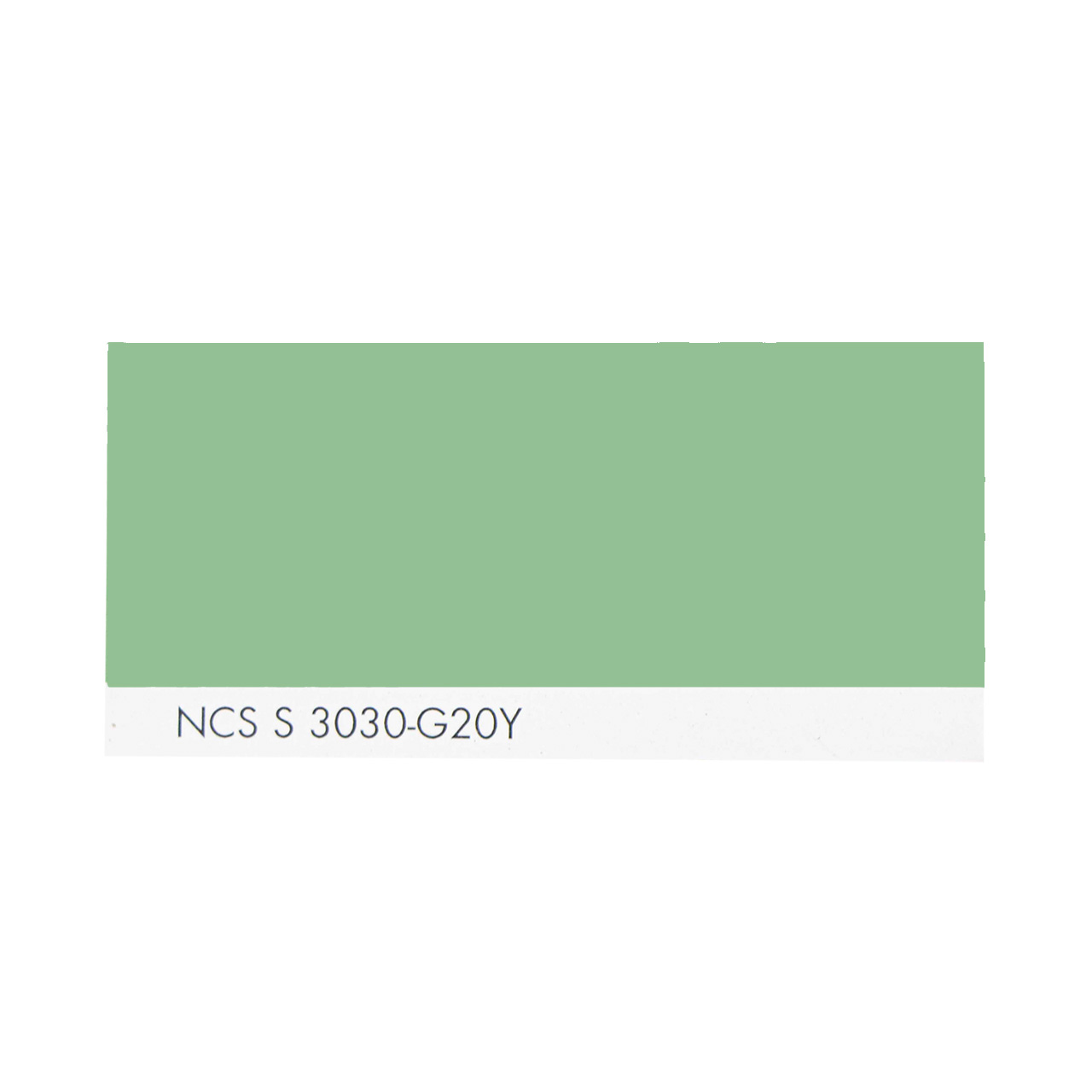 NCS S 3030-G20Y