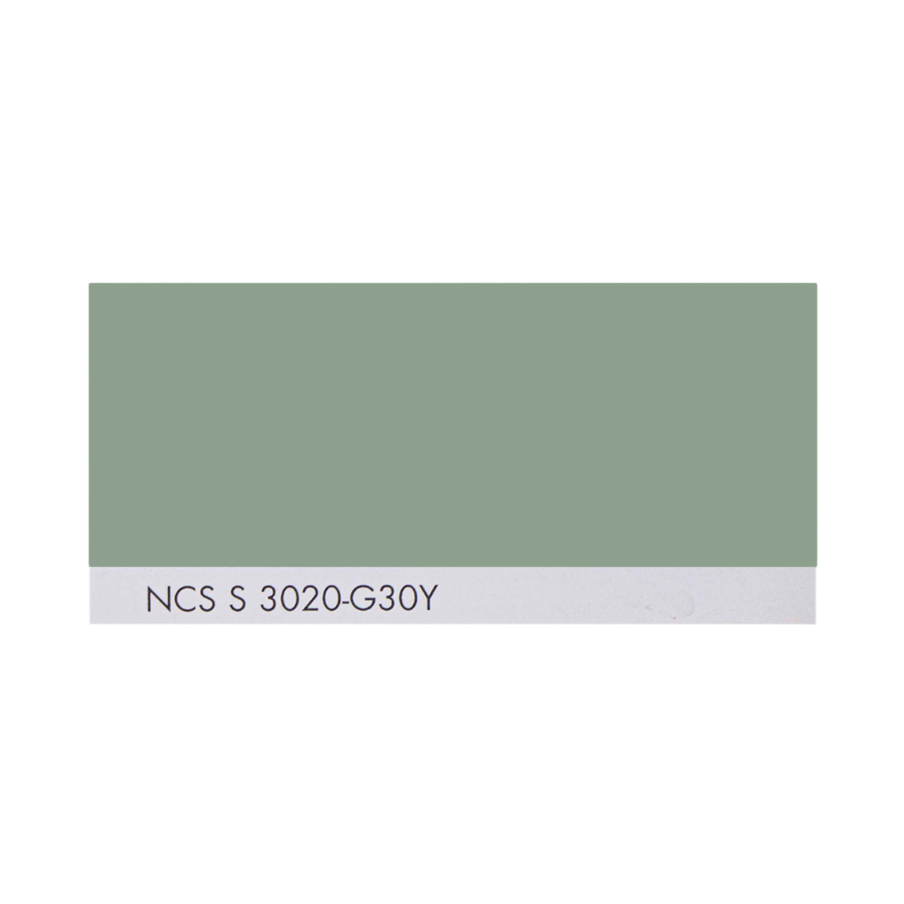 NCS S 3020-G30Y