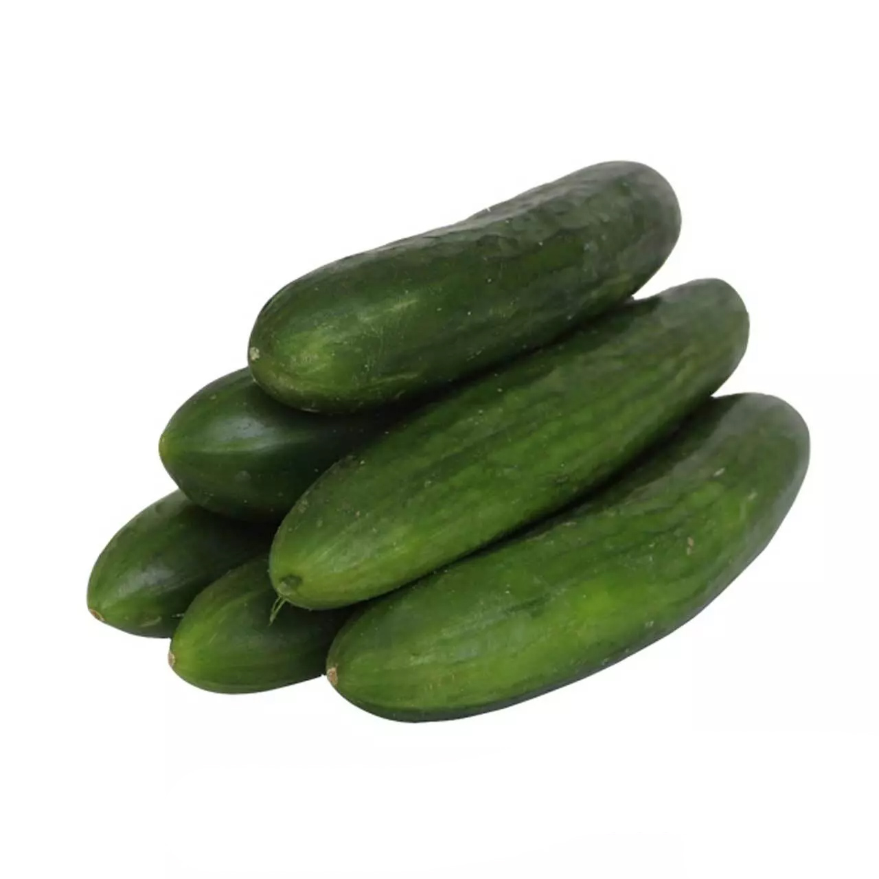 خیار بومی درجه یک - 1 کیلوگرم