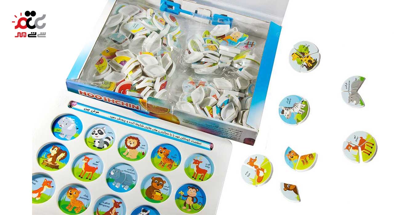 بازی آموزشی زاغک مدل هوش چین سه تکه ای