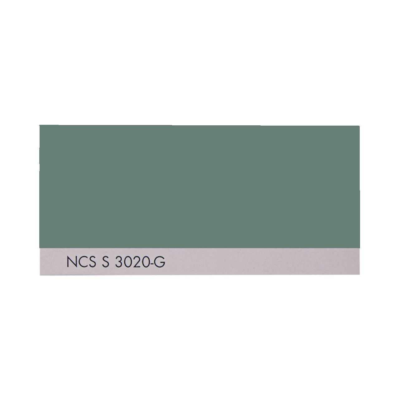 NCS S 3020-G