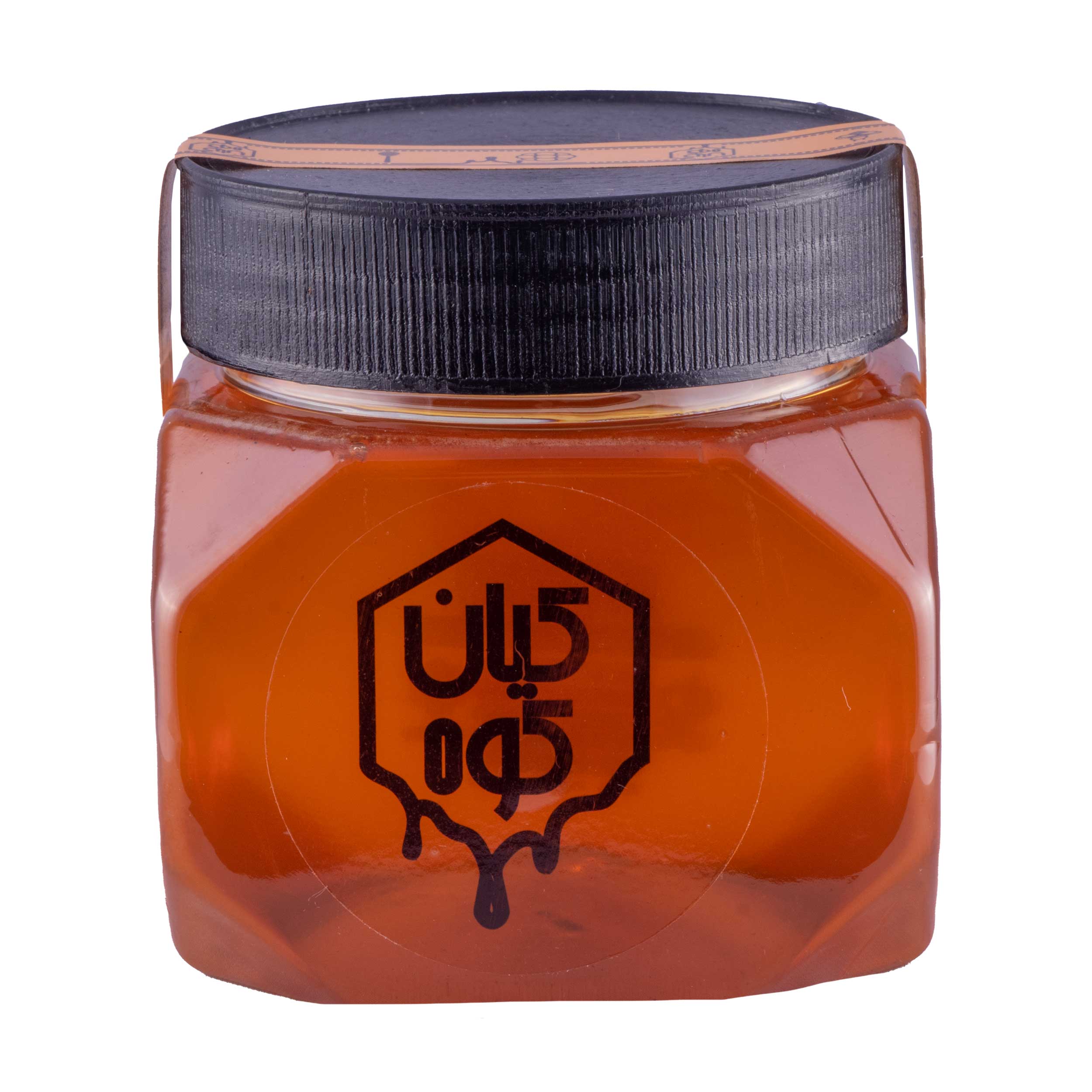 عسل طبیعی کیان کوه ظرف پت 500 گرمی