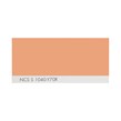 NCS S 1040-Y70R