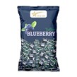 تافی بلوبری مگا استار 170 گرمی