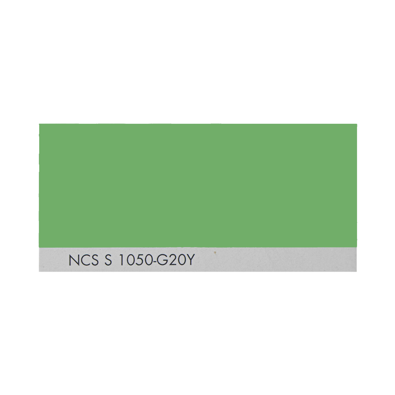 NCS S 1050-G20Y