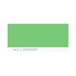NCS S 3050-G20Y