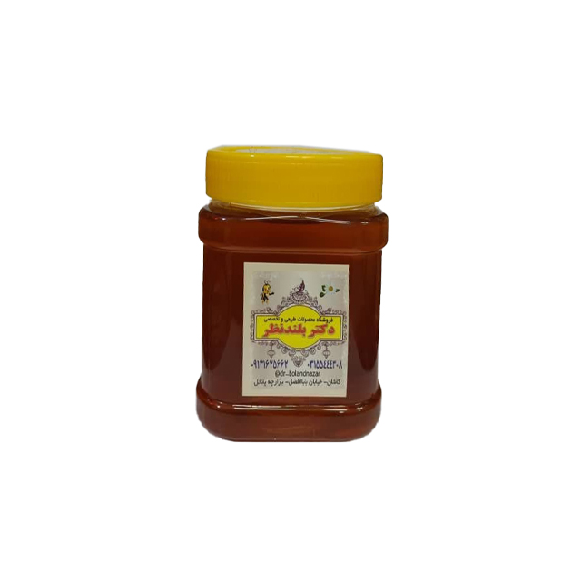 عسل گشنیز مخصوص دکتر بلندنظر 500 گرمی