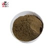 خرید  قهوه سر اصل