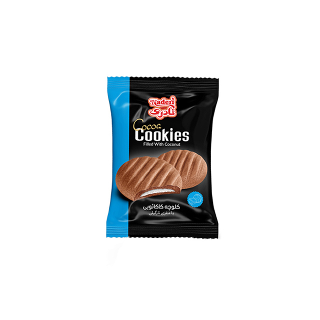 کلوچه کاکائویی اکسترا نارگیل نادری 75 گرمی