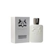 بهترین عطر جیبی مردانه گالووی اسکوپ 30 میلی لیتری