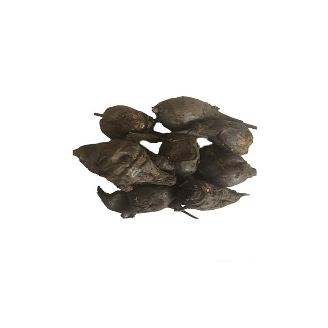 سعد کوفی 50 گرمی