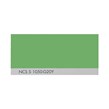 NCS S 1050-G20Y