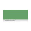 NCS S 3040-G20Y